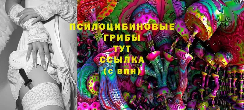 blacksprut ссылки  Хотьково  Галлюциногенные грибы Psilocybine cubensis 